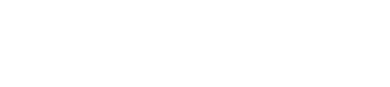 EU Logo