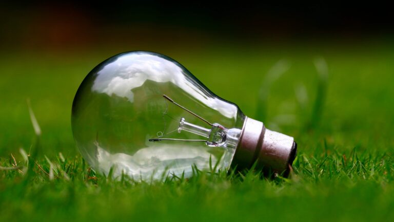 light bulb lying in grass