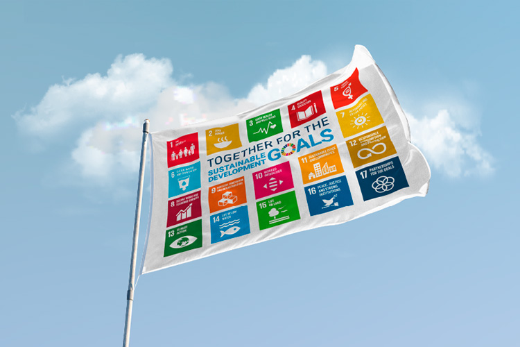 All 17 SDGs on a flag in the wind