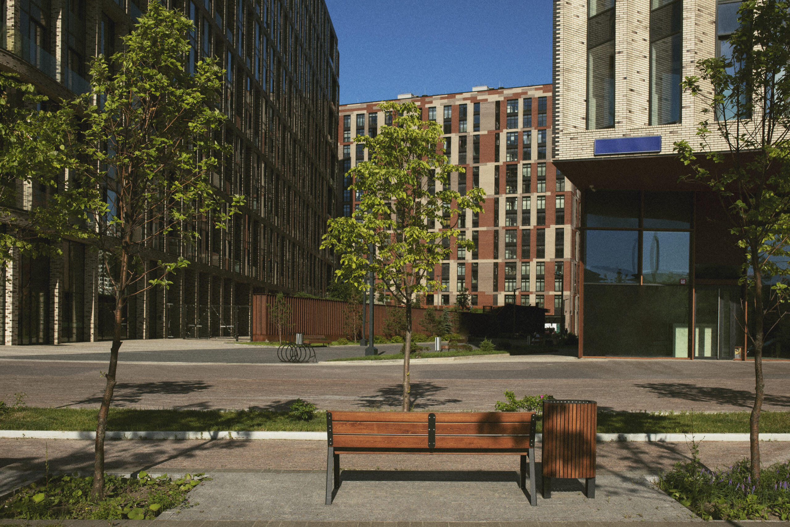 Bench standing in front of city buildings and small trees